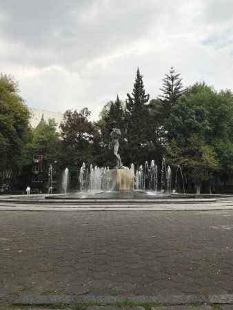 Yoga en el Parque